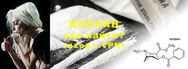 индика Каменск-Шахтинский
