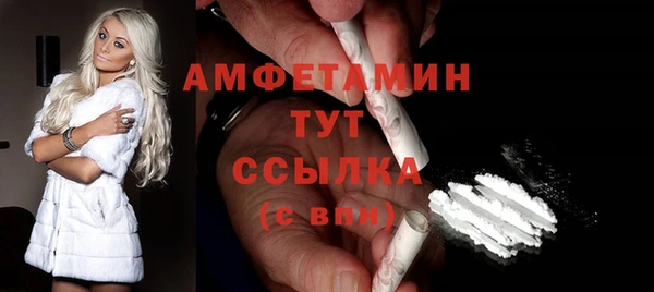 индика Каменск-Шахтинский