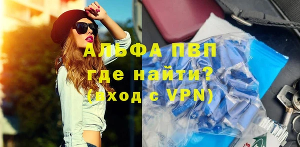 индика Каменск-Шахтинский