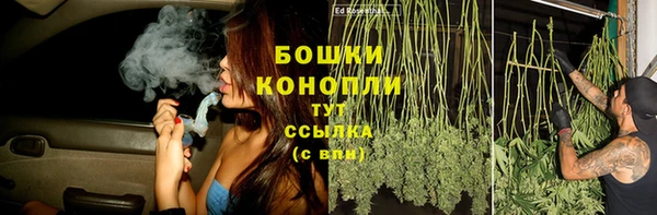 мяу мяу мука Каменногорск