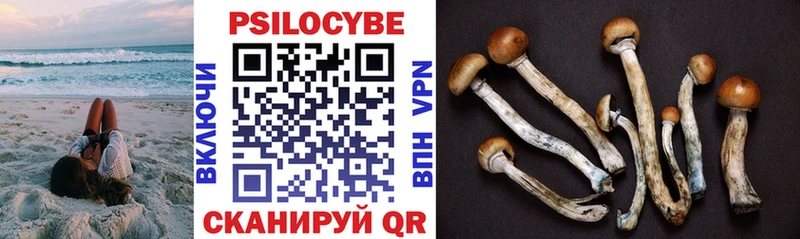 Псилоцибиновые грибы Magic Shrooms  Екатеринбург 