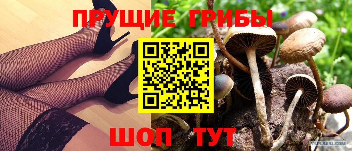 Галлюциногенные грибы прущие грибы  Вход с VPN  Екатеринбург 