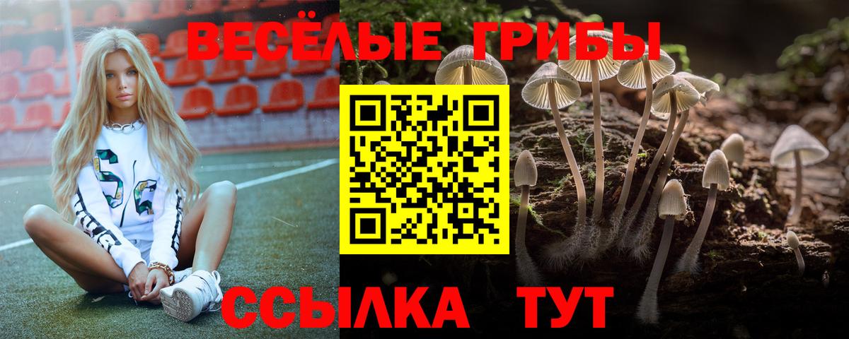 Галлюциногенные грибы GOLDEN TEACHER Екатеринбург